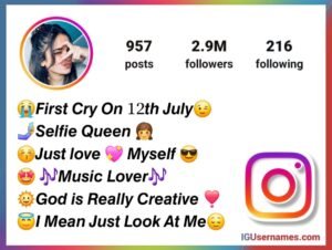 Instagram Bio For Girls