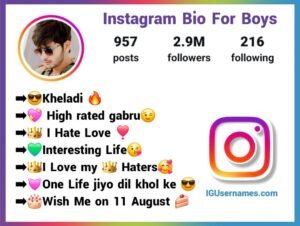 Instagram bio for boys