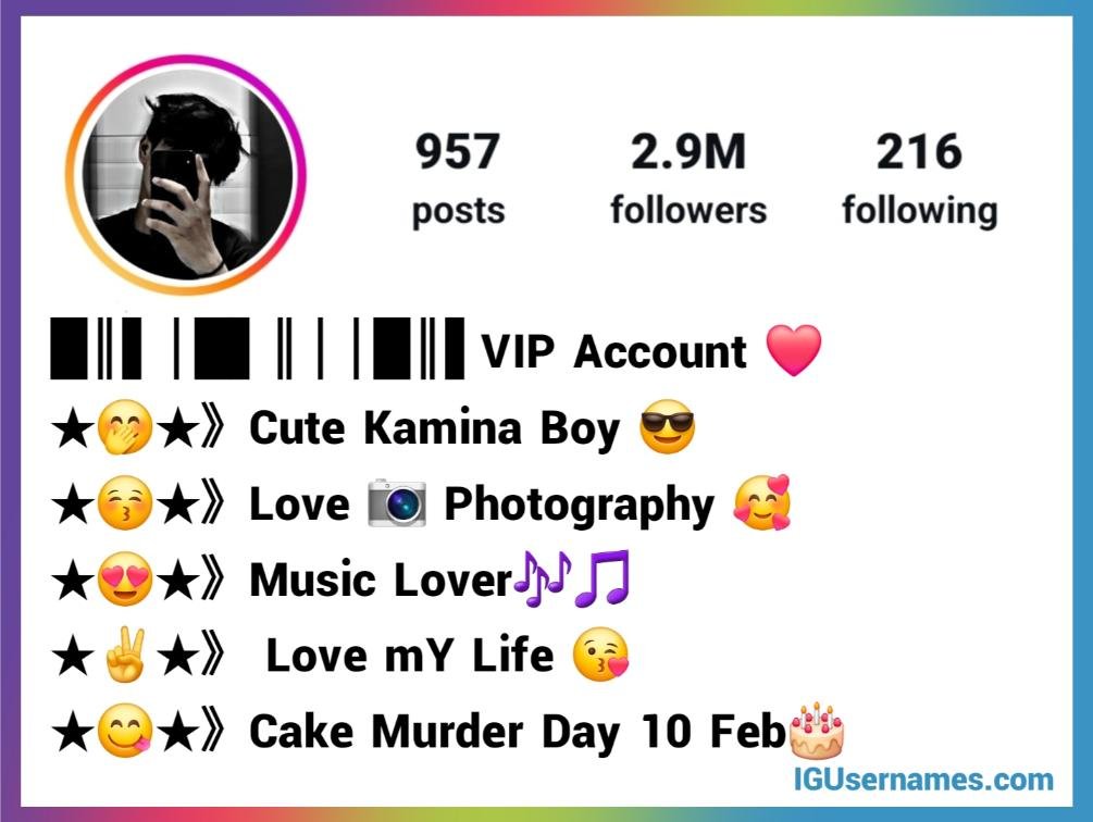 Instagram VIP Bio For Boys