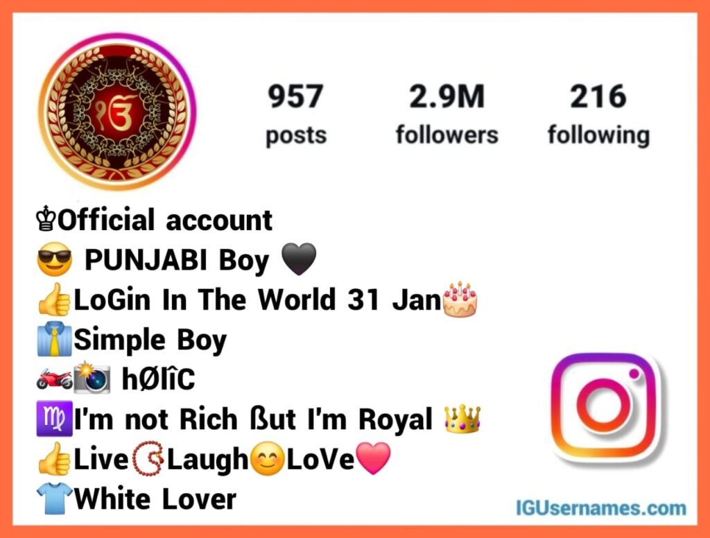 Punjabi Bio For Instagram