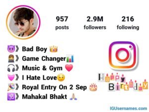 Birthday Bio For Instagram