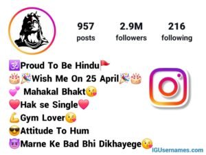 Mahakal Bio For Instagram