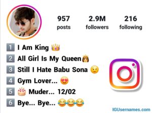 Funny Bio For Instagram