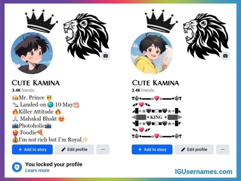Vip Profile 500+ Facebook VIP Bio Styles - Stylish Bio For FB (2025) - IG Usernames