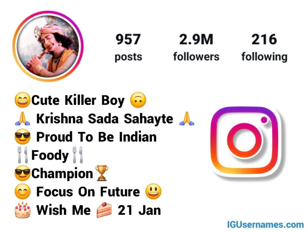 कृष्ण सदा सहायते Instagram Bio